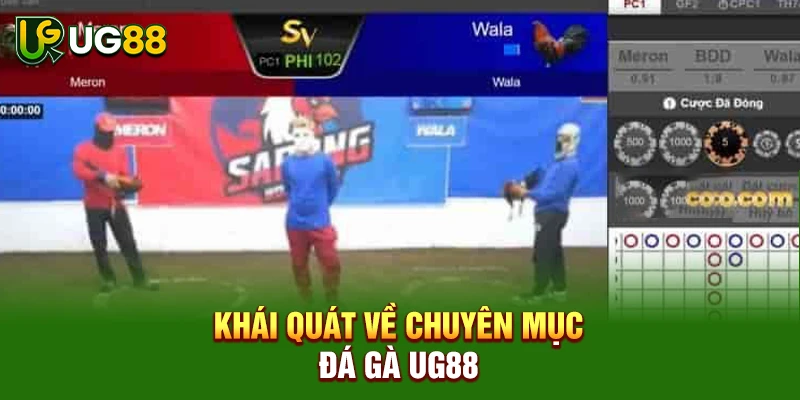 Khái quát về chuyên mục Đá gà UG88
