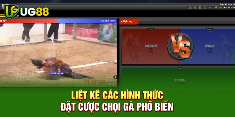 Liệt kê các hình thức đặt cược chọi gà phổ biến